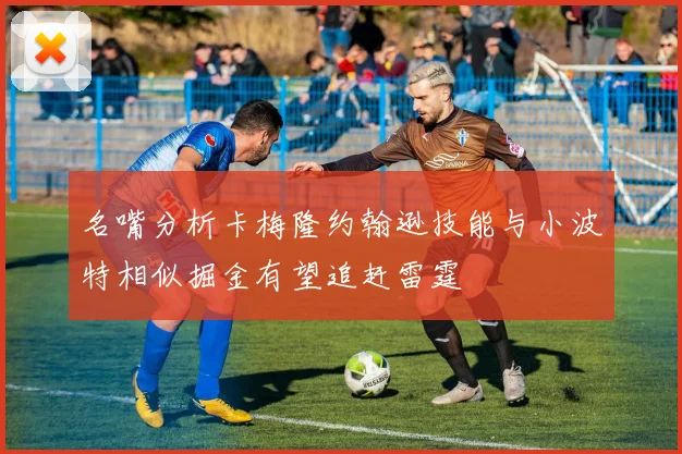 名嘴分析卡梅隆约翰逊技能与小波特相似掘金有望追赶雷霆