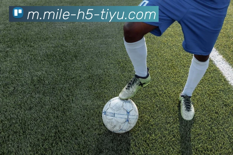 App Interface Preview