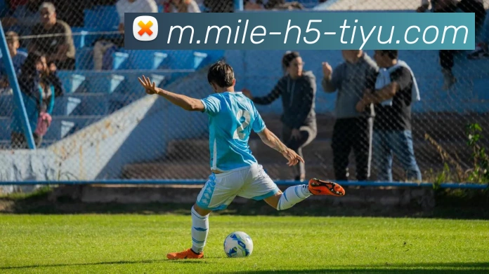 米乐体育APP 封面图